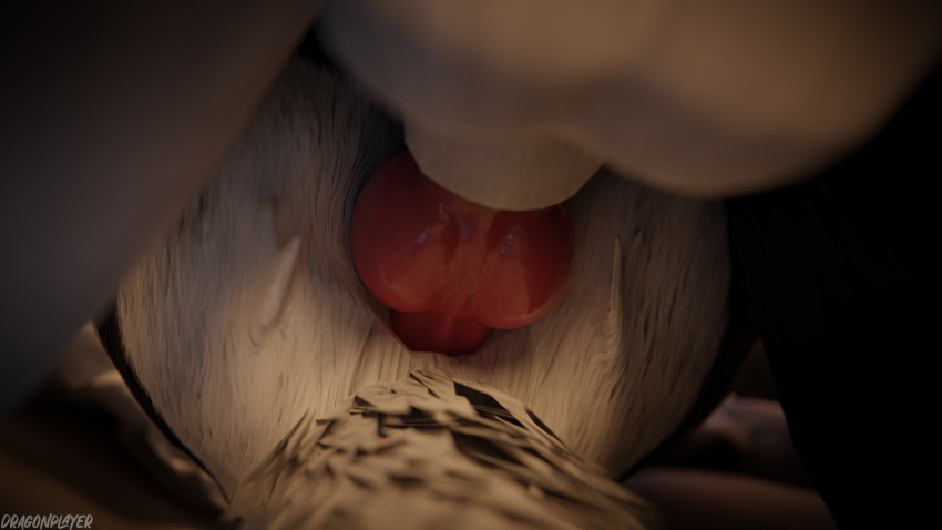 16:9 3d_(artwork) 4k absurd_res anal anal_penetration animal_genitalia animal_penis anthro anthro_on_anthro anthro_penetrated anthro_penetrating anthro_penetrating_anthro arkiteschkiy bed bedroom biped black_body black_fur blender_(software) blender_cycles butt canid canine claws close-up depth_of_field digital_media_(artwork) dominant dominant_male dragonplayer duo eyewear fox from_front_position fur furniture genitals glasses grey_body grey_fur hi_res inside kneeling kneeling_on_bed kneeling_position kneeling_sex knot lying lying_on_bed male male/male male_penetrated male_penetrating male_penetrating_anthro male_penetrating_male mammal missionary_position morowolf multicolored_body on_back on_bed open_mouth penetration penile penile_penetration penis penis_in_ass pink_penis reflection rexouium sex slim slim_anthro slim_male slim_sub submissive submissive_male tail white_body white_fur widescreen