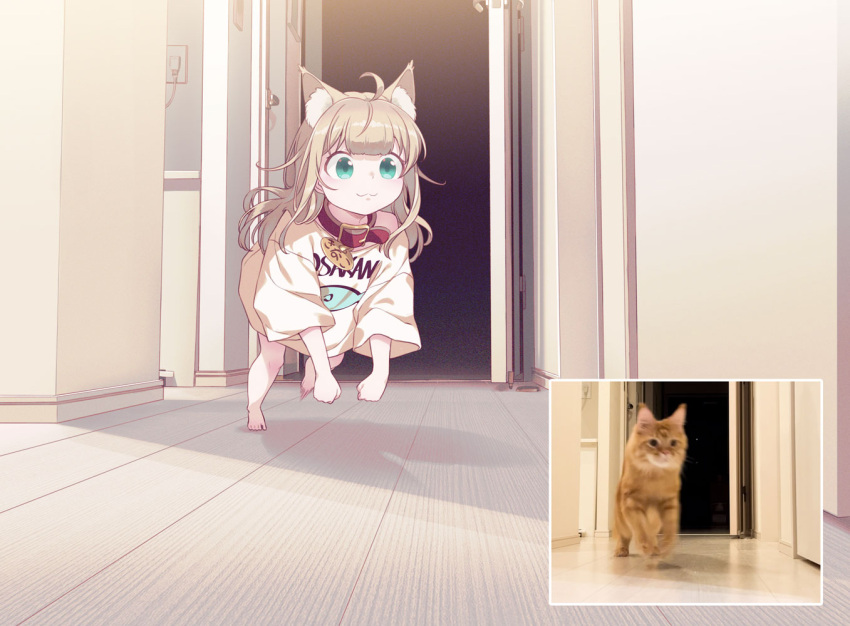 1girl 40hara :3 all_fours animal_collar animal_ear_fluff animal_ears aqua_eyes bare_shoulders barefoot blonde_hair blunt_bangs bottomless cat_ears cat_girl cat_tail chasing closed_mouth clothes_writing collar creature_and_personification indoors kinako_(40hara) long_hair messy_hair motion_blur off_shoulder open_door original oversized_clothes oversized_shirt photo_inset pouncing print_shirt red_collar reference_inset shirt smile solo t-shirt tail white_shirt wooden_floor