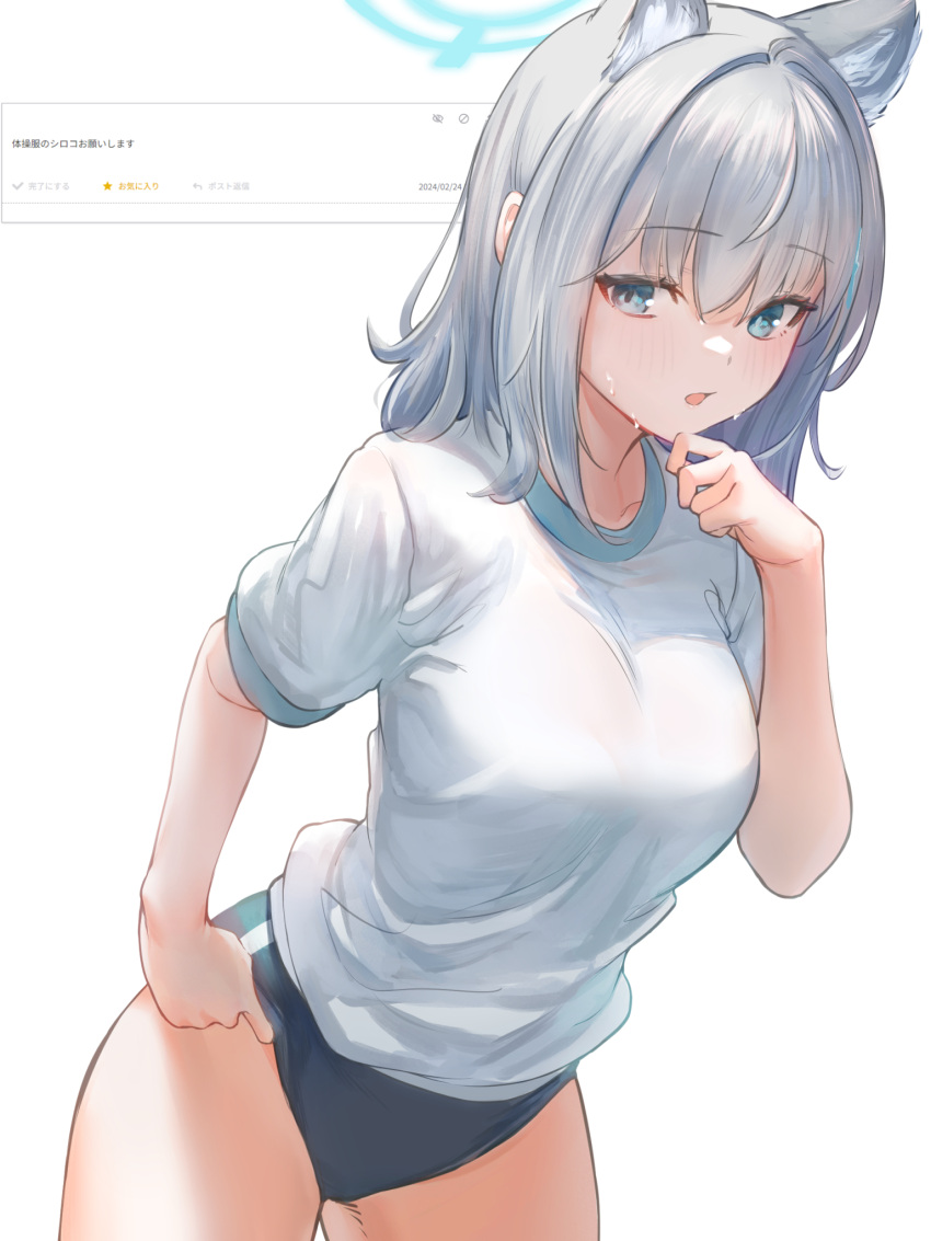 1girl :o animal_ears black_one-piece_swimsuit blue_archive blue_eyes blush breasts cowboy_shot grey_hair hair_between_eyes hand_on_own_chin highleg_one-piece_swimsuit highres large_breasts legs_apart long_hair looking_at_viewer marulire one-piece_swimsuit open_mouth shiroko_(blue_archive) shiroko_(swimsuit)_(blue_archive) shirt short_sleeves sidelocks simple_background solo sweat swimsuit swimsuit_under_clothes white_background white_shirt wolf_ears wolf_girl