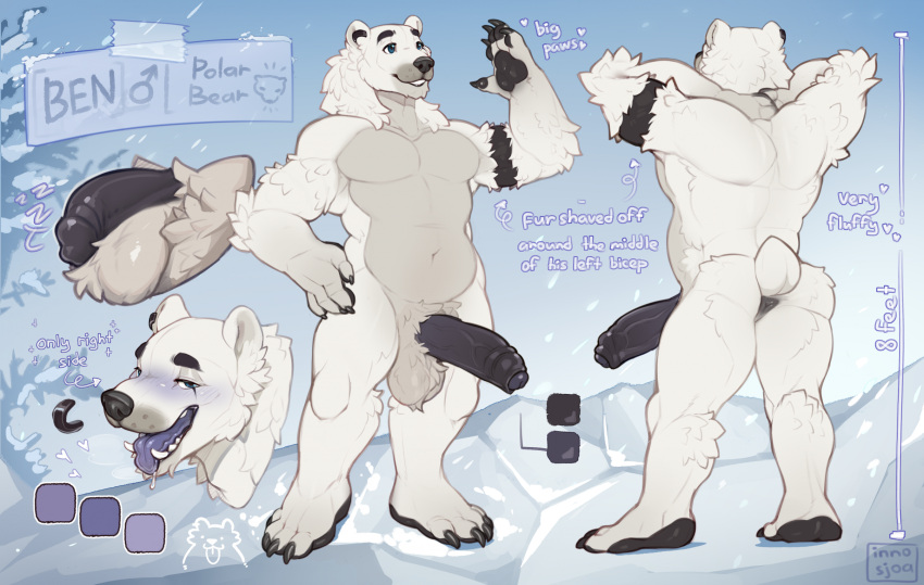 anthro anus balls bear black_penis bodily_fluids drooling foreskin genitals hi_res humanoid_genitalia humanoid_penis inno-sjoa male mammal model_sheet muscular open_mouth penis plantigrade polar_bear saliva teeth tongue ursine