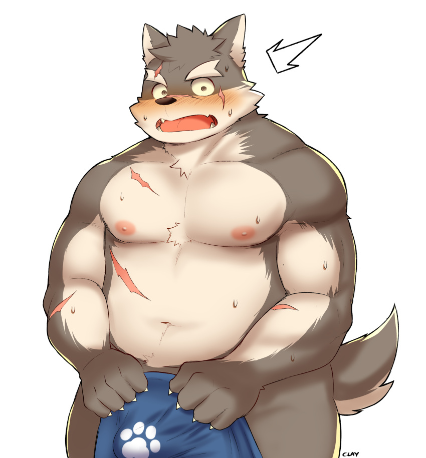 1boy absurdres animal_ears bara belly blush bulge covering covering_crotch embarrassed feet_out_of_frame forked_eyebrows fujimachine_(clayten) furry furry_male highres looking_at_viewer male_focus moritaka_(housamo) muscular muscular_male navel nipples paw_print pectorals plump scar scar_on_cheek scar_on_chest scar_on_face short_hair solo stomach surprised tail thick_eyebrows tokyo_afterschool_summoners wolf_boy wolf_ears wolf_tail