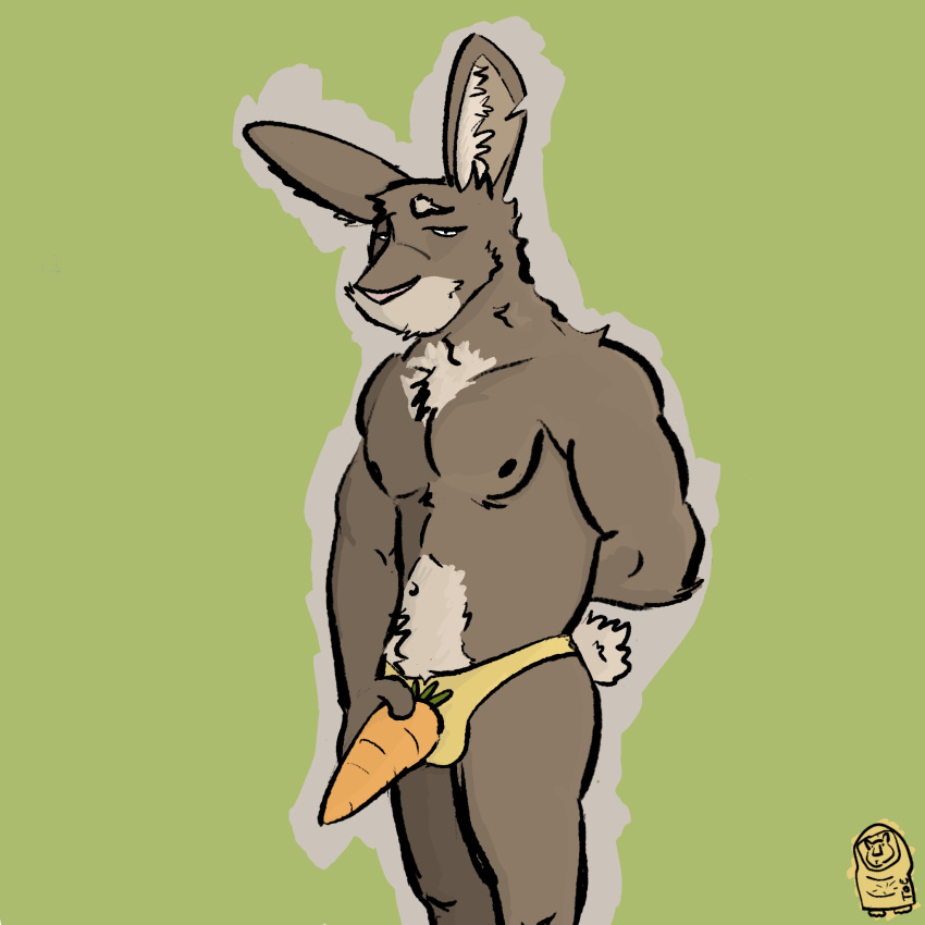 andromorph anthro bulge carrot clothing dickinoatmeal food fur hi_res humanoid inner_ear_fluf intersex lagomorph leporid male mammal muscular muscular_male plant rabbit reggie(dickinoatmeal) solo underwear vegetable