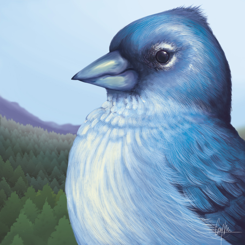 2017 ambiguous_feral ambiguous_gender avian beady_eyes beak bird black_eyes blue_beak blue_body blue_feathers blue_sky bust_portrait caymartworks day detailed detailed_background detailed_feathers dipstick_beak eye_markings feathered_wings feathers feral finch folded_wings forest hi_res markings mountain nature oscine outside passerine plant portrait side_view sky solo tenerife_blue_chaffinch tree true_finch white_body white_feathers wings