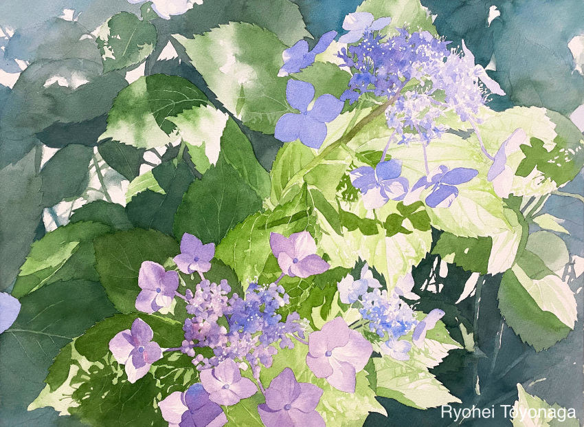 absurdres dappled_sunlight flower flower_focus highres leaf no_humans original painting_(medium) plant plant_focus purple_flower realistic shadow still_life sunlight toyonaga_ryouhei traditional_media watercolor_(medium)