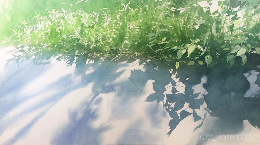 day grass highres no_humans original painting_(medium) path plant plant_focus realistic shadow still_life sunlight toyonaga_ryouhei traditional_media watercolor_(medium)