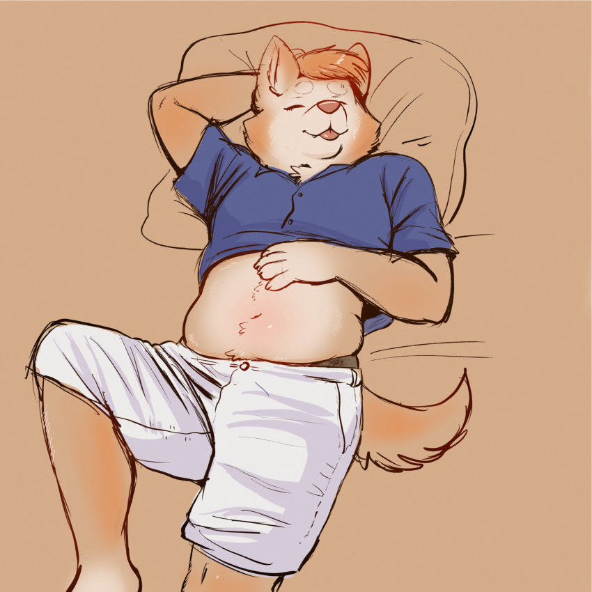 1:1 2023 anthro anutka barefoot biped blue_clothing blue_shirt blue_topwear canid canine canis clothed clothing countershade_face countershade_torso countershading digital_media_(artwork) domestic_dog feet hair hand_behind_head hi_res lying male mammal midriff navel on_back pillow pink_nose pink_tongue raised_clothing raised_shirt raised_topwear shirt sketch sleeping solo tail tongue tongue_out topwear