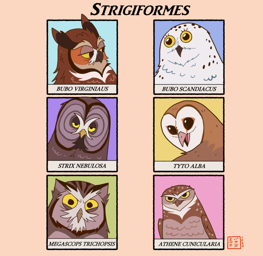 ambiguous_gender avian barn_owl bird black_eyes feathers feral great_grey_owl great_horned_owl group hi_res horned_owl kabuki-aku looking_at_another orange_body orange_feathers owl screech_owl simple_background simple_eyes snowy_owl strix_(genus) true_owl tyto tytonid whiskered_screech_owl yellow_eyes