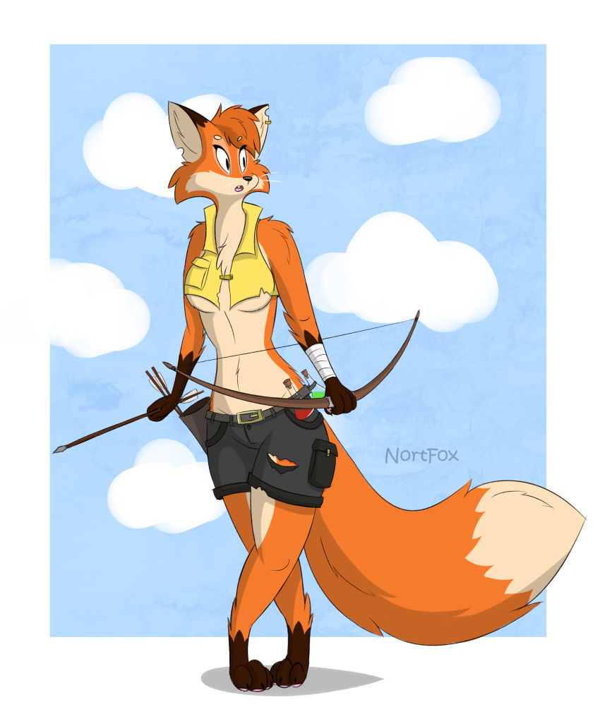 anthro bottomwear breasts canid canine clothing crop_top female fox fur hi_res mammal nortfox orange_body orange_fur shirt shorts solo tail topwear torn_clothing true_fox under_boob yellow_clothing yellow_shirt yellow_topwear