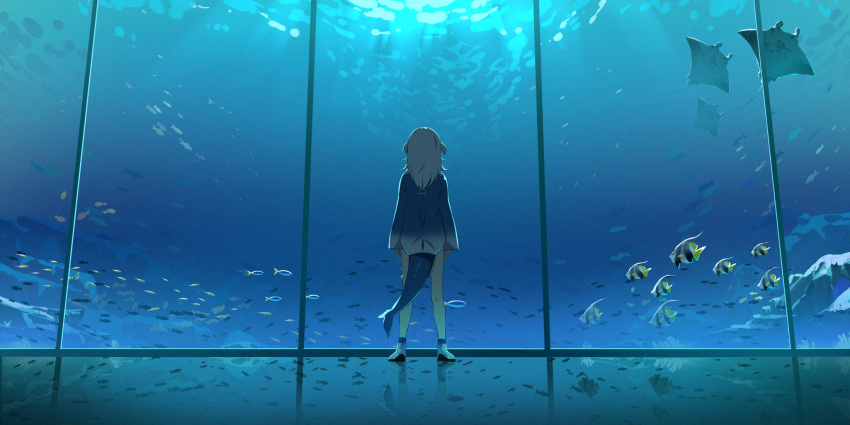 1girl aquarium back blue_hoodie commentary english_commentary fish fish_tail from_behind gawr_gura highres hololive hololive_english hood hoodie kuroi_enpitsu light manta_ray medium_hair reflect_(gawr_gura) reflection reflective_floor scenery shark_tail shoes short_twintails silver_hair solo standing tail twintails two_side_up virtual_youtuber white_footwear wide_shot