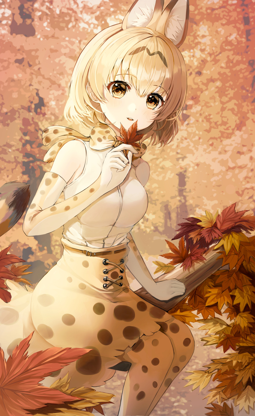1girl absurdres animal_ears animal_print autumn autumn_leaves blonde_hair bow bowtie commentary elbow_gloves gloves highres holding kemono_friends looking_at_viewer multicolored_bow multicolored_clothes multicolored_legwear open_mouth orange_bow orange_bowtie outdoors print_bow print_bowtie serval_(kemono_friends) serval_print shirt sitting sleeveless sleeveless_shirt spotted_skirt tail two-tone_bowtie white_bow white_bowtie white_shirt yellow_eyes zipgaemi