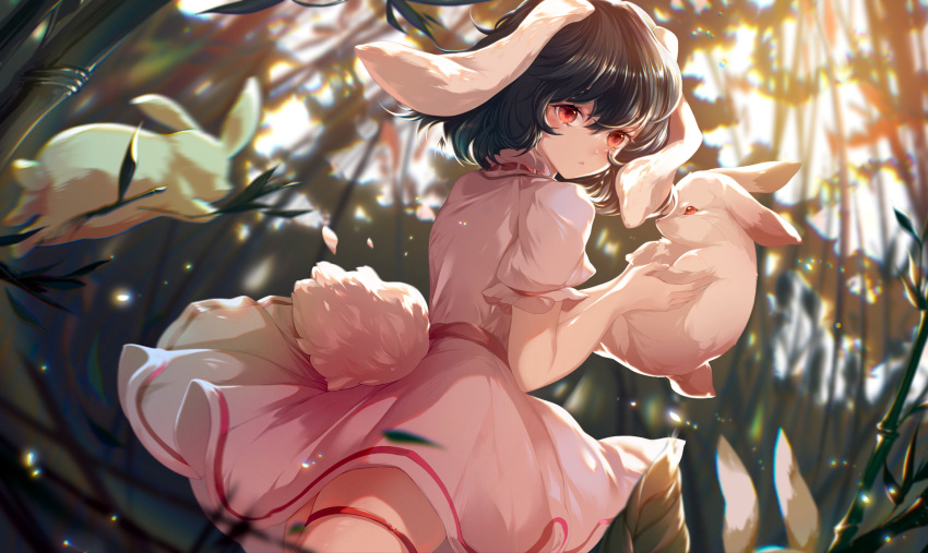 1girl animal animal_ears azusa0v0 bamboo bamboo_forest black_hair blush bunny commentary dress forest frilled_sleeves frills hair_between_eyes highres holding holding_animal inaba_tewi nature parted_lips pink_dress puffy_short_sleeves puffy_sleeves rabbit_ears rabbit_tail red_eyes ribbon-trimmed_clothes ribbon-trimmed_dress ribbon_trim short_hair short_sleeves solo tail touhou