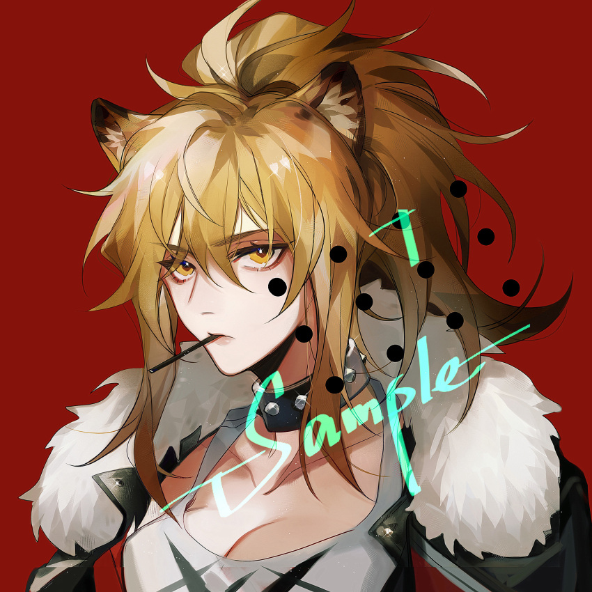 1girl arknights big_hair black_jacket breasts cleavage collar commentary ez_1011 fur-trimmed_jacket fur_trim glint grey_shirt highres jacket large_breasts looking_at_viewer medium_hair mouth_hold open_clothes open_jacket ponytail red_background sanpaku shirt siege_(arknights) simple_background solo studded_collar upper_body watermark yellow_eyes
