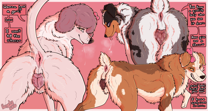 animal_genitalia animal_vulva anus aurora_(parooty) australian_shepherd blush blush_lines blushing_profusely bodily_fluids bow_ribbon breath butt canid canine canine_genitalia canine_vulva canis cheek_tuft crown dialogue domestic_dog dripping dripping_vulva facial_tuft female feral flirting flirting_look flirting_with_viewer fluffy fluffy_tail genital_markings genitals group headgear herding_dog in_heat looking_at_viewer looking_back looking_pleasured mammal markings mey_(parooty) molly_(parooty) musk musk_cloud musky_anus musky_vulva neck_tuft nub_tail one_eye_closed parooty pastoral_dog paws pink_anus pink_background pink_vulva poodle presenting presenting_anus presenting_hindquarters presenting_vulva raised_paw raised_tail rear_view saliva saliva_on_tongue saliva_string sheepdog side_view simple_background spots spotted_genitalia spotted_vulva tail talking_feral tiara tiara_only toothy_grin trio tuft vulva vulva_markings wink winking_at_viewer