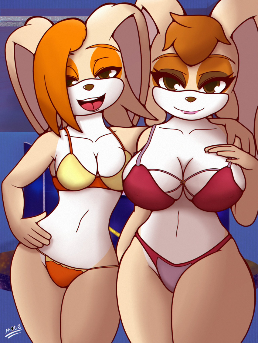 3:4 aged_up anthro big_breasts bikini breast_size_difference breasts clothed clothing cream_the_rabbit daughter digital_media_(artwork) duo female female/female fur hair hi_res lagomorph leporid looking_at_viewer mammal manwiththemole mature_anthro mature_female mother mother_and_child mother_and_daughter multicolored_body open_mouth parent parent_and_child rabbit sega smile sonic_the_hedgehog_(series) swimwear vanilla_the_rabbit