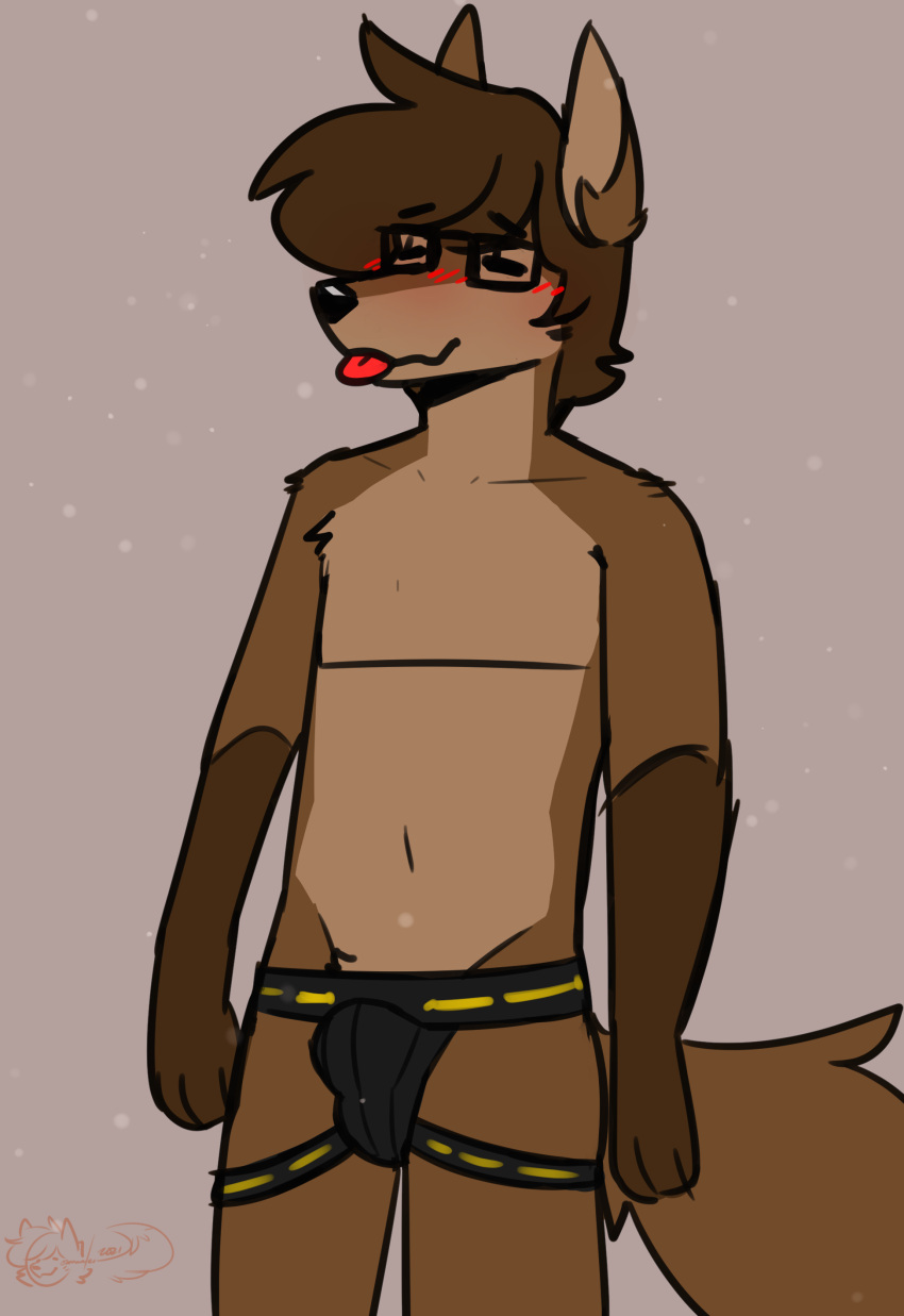 2021 absurd_res anthro biped black_nose blep brown_body brown_fur brown_hair bulge canid canine canis clothed clothing commander_(commanderthings) commanderthings digital_drawing_(artwork) digital_media_(artwork) english_text eyebrow_through_hair eyebrows eyes_closed eyewear fingers fur genital_outline glasses hair hi_res jockstrap long_hair male mammal navel open_mouth sheath_outline simple_background solo text tongue tongue_out topless translucent translucent_hair underwear wolf youtuber