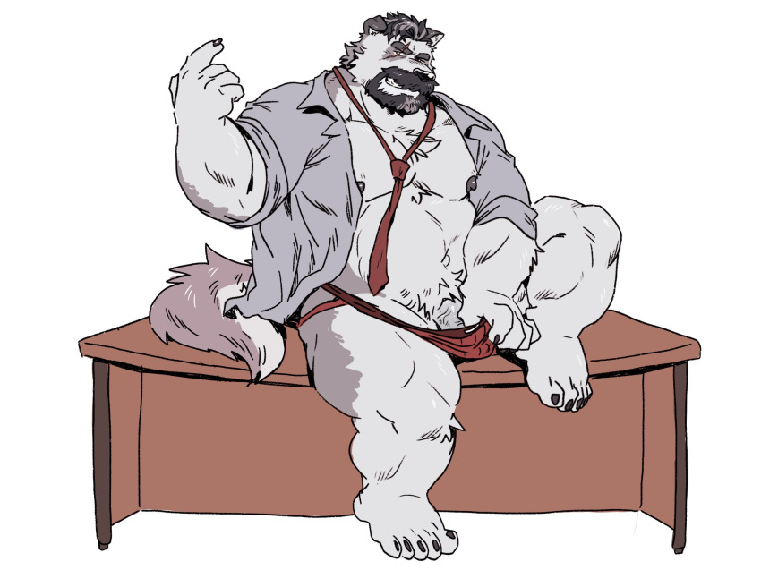 2021 anthro beard bearwivme canid canine canis clothed clothing domestic_dog facial_hair fur genitals grey_body grey_fur hi_res humanoid_hands jockstrap male mammal mature_male moobs mustache necktie nipples open_clothing open_shirt open_topwear overweight overweight_male penis shirt sitting solo topwear underwear white_body white_fur