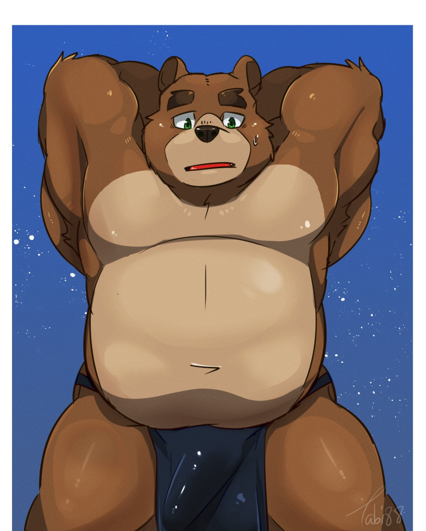 2021 anthro asian_clothing belly blue_clothing blue_fundoshi blue_underwear bodily_fluids brown_body brown_fur bulge clothing east_asian_clothing fundoshi fur genital_outline hi_res japanese_clothing kemono male mammal moobs overweight overweight_male penis_outline solo sweat tiri_mama underwear ursid
