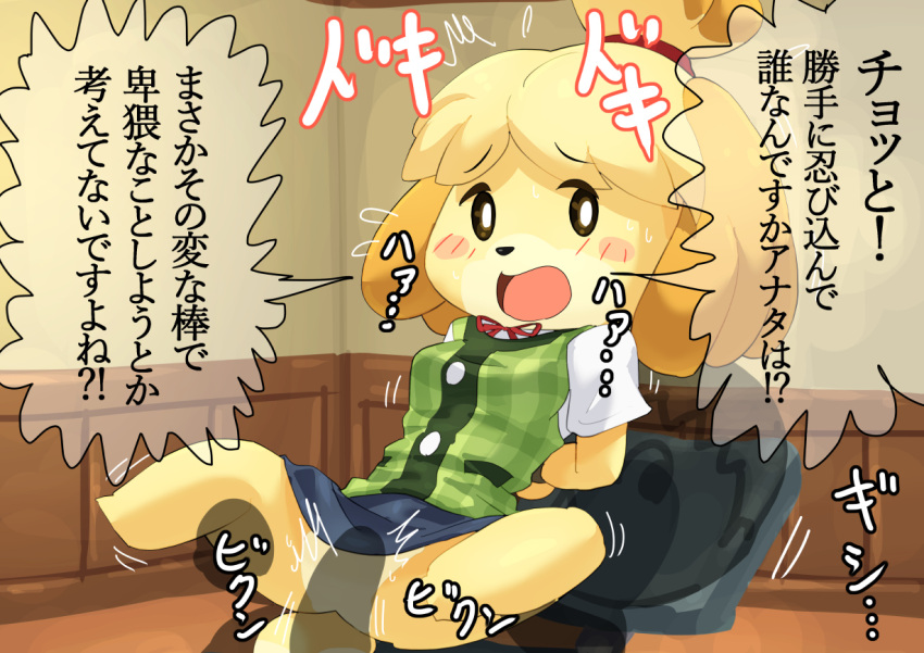 animal_crossing anthro arms_tied blush bottomless bound bulge canid canine canis clothed clothing domestic_dog duo featureless_crotch female genital_outline hands_behind_back human human_on_anthro interspecies isabelle_(animal_crossing) japanese_text male male/female mammal merumeto nintendo open_mouth penis_outline text translated video_games villager_(animal_crossing)