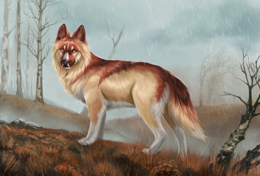 2021 ambiguous_gender black_nose blue_eyes brown_body brown_fur canid canine canis day detailed_background digital_media_(artwork) feral fur mammal muns11 outside paws solo tan_body tan_fur white_body white_fur wolf