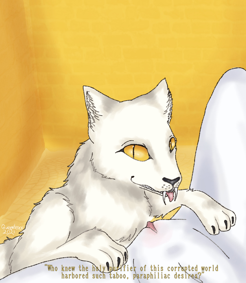 amber_eyes andromorph andromorph/male bestiality blep claws clitoral_hood clitoris dialogue domestic_cat duo english_text fangs felid feline felis feral fur genitals hi_res human human_on_feral ibispaintx imminent_bestiality imminent_cunnilingus imminent_oral intersex intersex/male interspecies male mammal off_(game) pablo_(off) queentexx simple_background smile teasing text the_batter_(off) tongue tongue_out video_games white_body white_fur white_skin yellow_background yellow_eyes