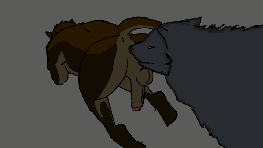 anal animated anthro anthro_on_feral anus backsack balls bestiality bethesda_softworks butt_sniffing canid canine canis duo felid feral genitals hi_res khajiit licking male male/male mammal nose_to_anus oral penis rimming saliva_on_anus sex sniffing the_elder_scrolls tongue tongue_out video_games wolf