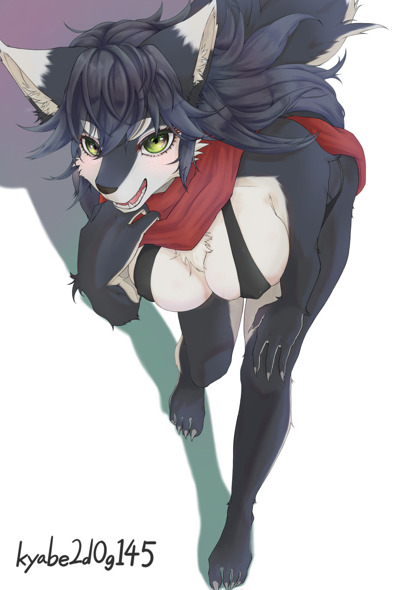 2021 4_fingers 4_toes absurd_res anthro big_breasts blush breasts canid canine canis chest_tuft claws clothed clothing dipstick_ears feet female finger_claws fingers fur green_eyes grey_body grey_fur grey_hair hair hi_res kemono kyabe2d0g145 looking_at_viewer mammal multicolored_ears multicolored_tail nipple_outline open_mouth scarf sharp_teeth solo teeth toe_claws toes tongue tuft white_body white_fur wolf