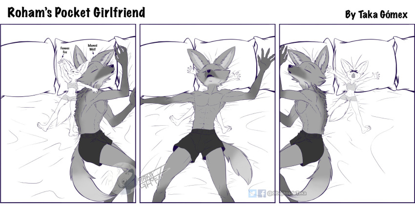 2021 2:1 5_fingers 5_toes anthro barefoot bed boxers_(clothing) breasts canid canine claws clothed clothing comic digital_media_(artwork) duo english_text eyes_closed feet female fennec finger_claws fingers fox fur furniture greyscale hi_res humanoid_feet humanoid_hands humor larger_male lying male male/female mammal maned_wolf monochrome navel on_back on_bed on_side rolled_over rolling size_difference sleeping smaller_female squish taka_studio text toes tongue tongue_out topless topless_male underwear watermark x_eyes