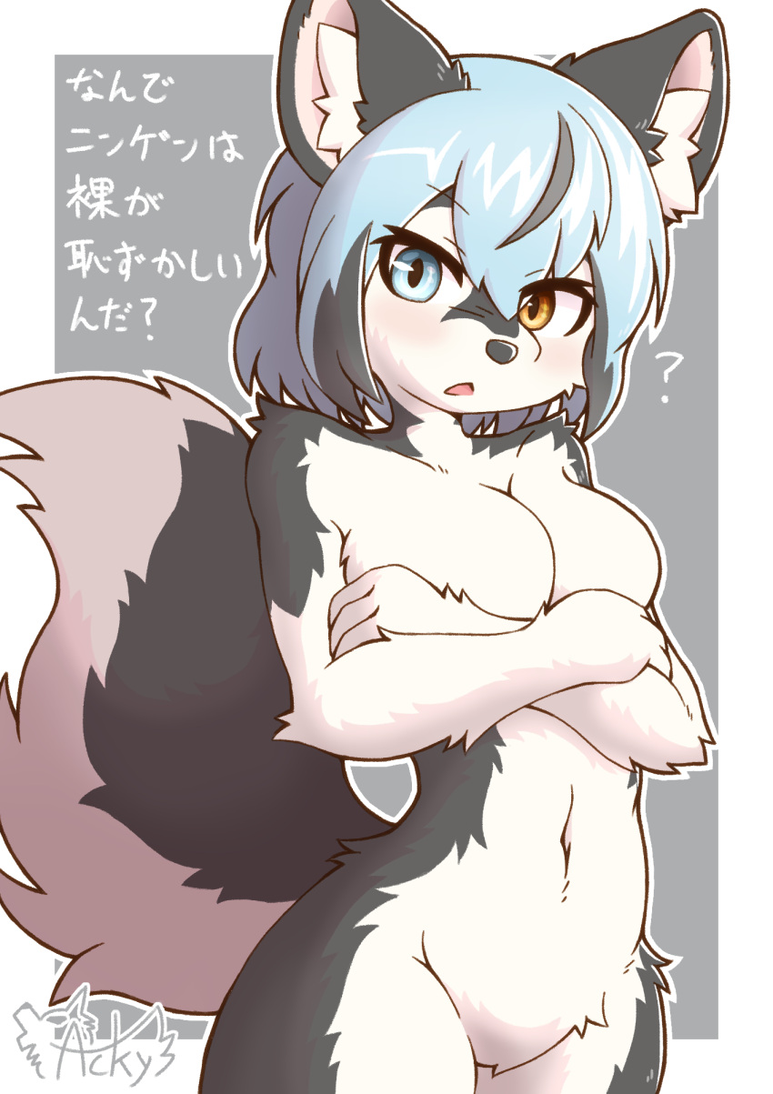 2021 ? acky05 anthro blue_eyes blue_hair blush breasts canid canine canis crossed_arms domestic_dog featureless_breasts featureless_crotch female fur grey_body grey_fur grey_hair hair heterochromia hi_res husky inner_ear_fluff japanese_text kemono looking_at_viewer mammal multicolored_body multicolored_fur multicolored_hair nordic_sled_dog nude open_mouth portrait siberian_husky signature solo spitz text three-quarter_portrait translation_check translation_request tuft two_tone_body two_tone_fur two_tone_tail white_body white_fur yellow_eyes