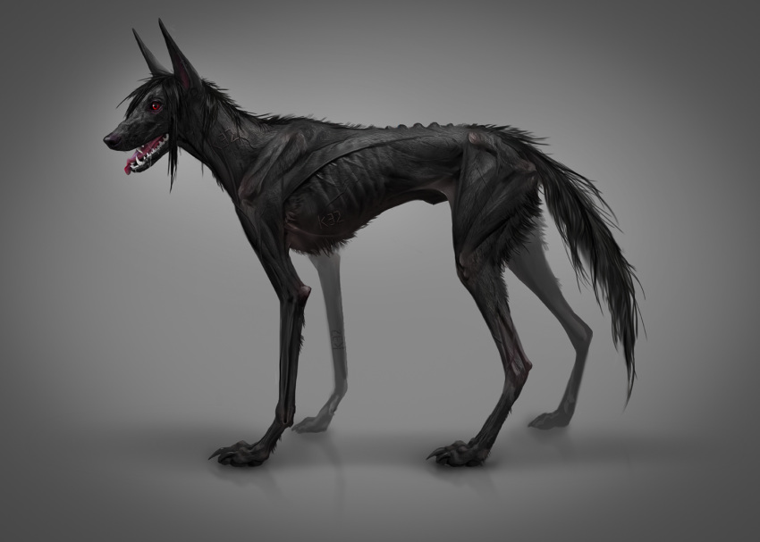 2021 alaiaorax black_hair black_nose canid canine digital_media_(artwork) feral hair male mammal open_mouth paws red_eyes solo teeth tongue