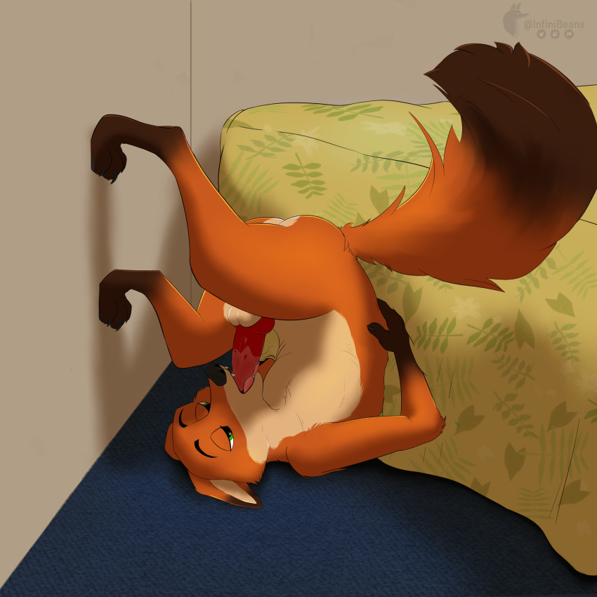 1:1 absurd_res anthro autofellatio balls bed bodily_fluids brown_body brown_fur canid canine disney ears_back fox fur furniture genitals green_eyes hi_res infinibeans knot male mammal masturbation nick_wilde oral oral_masturbation orange_body orange_fur paws penile penile_masturbation penis pivoted_ears propped_up saliva solo tan_body tan_fur tongue upside_down zootopia
