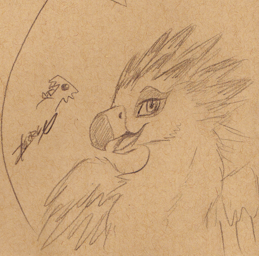 avian beak eye_markings feathered_crest feathered_wings feathers gryphon head_crest hi_res male markings mythological_avian mythology saewin solo wings xeirla