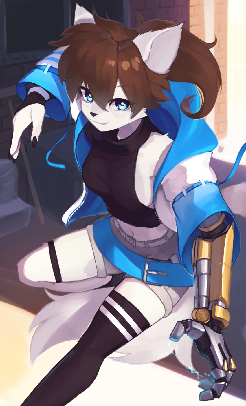 absurd_res anthro biped black_claws blue_eyes blush breasts brown_hair canid claws clothed clothing female fur hair hi_res legwear looking_at_viewer mammal navel prosthetic prosthetic_arm prosthetic_limb side_boob solo thigh_highs white_body white_fur yoako