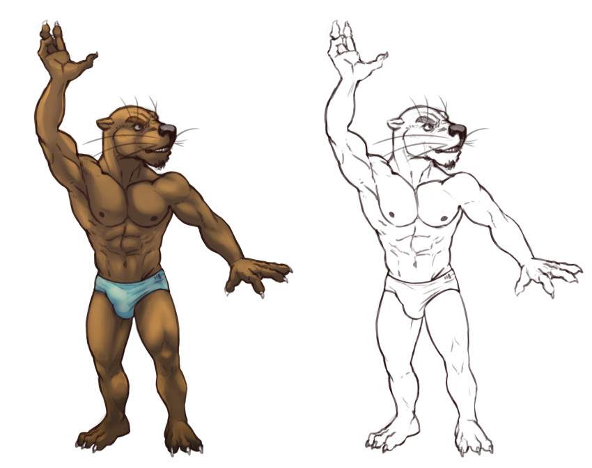 2017 3_toes 4_fingers anthro barefoot belly biceps big_abs big_muscles big_pecs big_quads black_nose blue_speedo bristol brown_arms brown_belly brown_body brown_chest brown_ears brown_eyebrows brown_face brown_feet brown_fur brown_hands brown_legs brown_neck brown_toes brown_whiskers chin_tuft claws clothed clothed_anthro clothed_male clothing colored deltoids digital_drawing_(artwork) digital_media_(artwork) eyebrows facial_tuft feet fingers front_view full-length_portrait fur gesture hi_res humanoid_hands looking_away lutrine male male_anthro mammal muscular muscular_anthro muscular_male mustelid navel obliques pecs plantigrade portrait raised_hand serratus shaded simple_background small_ears solo speedo speedo_only standing swimwear toes topless topless_anthro topless_male triceps waving white_background white_claws