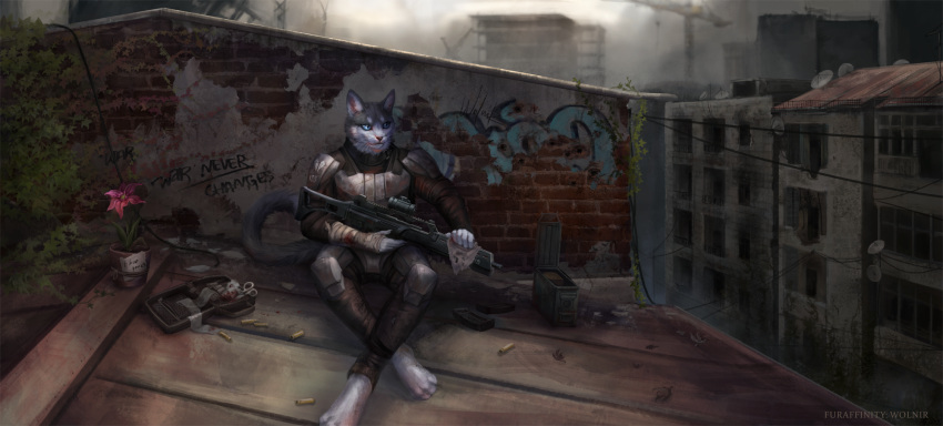 2021 4_toes 5_fingers ammo_box ammunition anthro bandage bandaged_arm blood bodily_fluids clothed clothing crossed_legs detailed_background digital_media_(artwork) domestic_cat english_text feet felid feline felis fingers flower fur graffiti grey_body grey_fur gun hi_res holding_gun holding_object holding_weapon male mammal medical_instrument plant plant_pot potted_plant ranged_weapon rooftop scientific_instrument sitting solo text toes watermark weapon whiskers wolnir