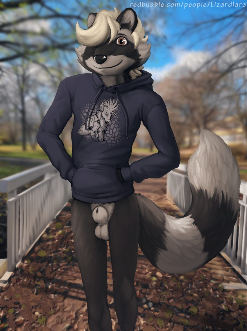 absurd_res animal_genitalia anthro balls bottomless clothed clothing corey fall_(disambiguation) fuzz fuzzy gene genitals girly hi_res hoodie hyaenid lizardlars male mammal outside park penis procyonid public raccoon sheath solo topwear