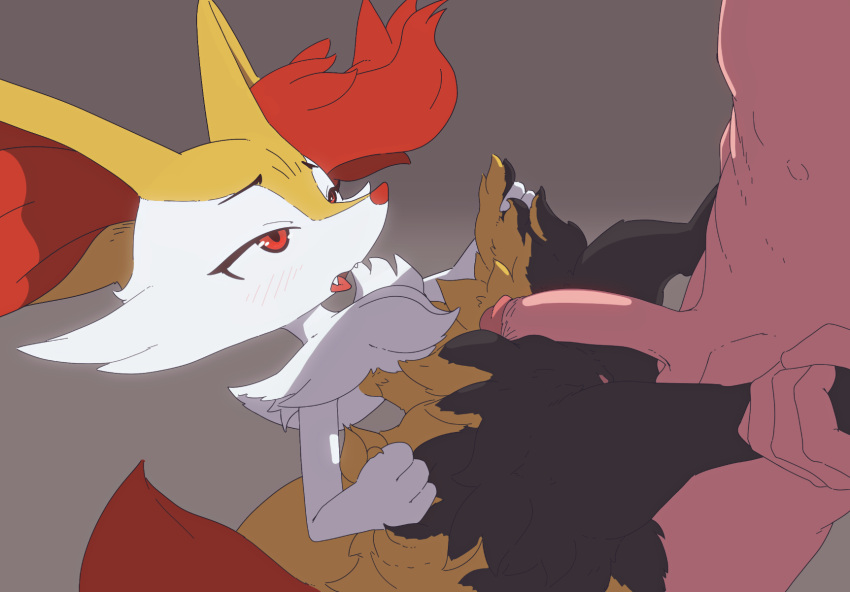 anthro barely_visible_genitalia barely_visible_pussy braixen canid erection female forurune genitals half-closed_eyes hi_res human imminent_sex interspecies looking_at_another looking_at_partner male male/female mammal narrowed_eyes nintendo penis pok&eacute;mon pok&eacute;mon_(species) pok&eacute;philia pussy tongue video_games