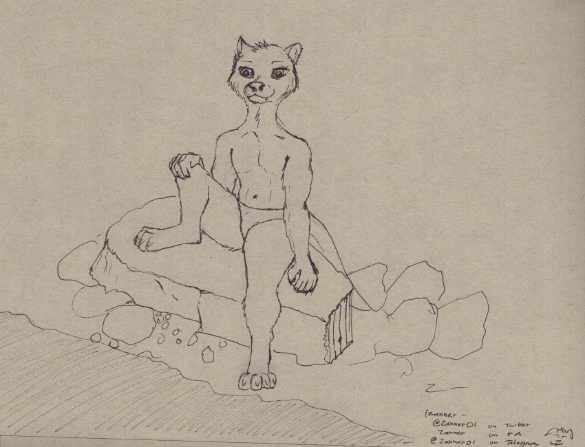absurd_res anthro biped black_nose bryce_daeless clothing hi_res lutrine male mammal mustelid paws rock sitting solo underwear water zanner_(artist)