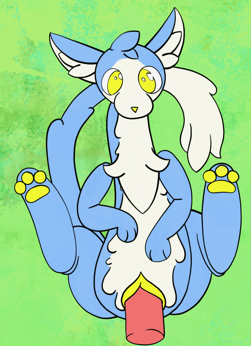 absurd_res anatomically_correct anatomically_correct_genitalia anatomically_correct_pussy animal_genitalia animal_pussy animated belly blue_body blue_fur disembodied_penis feet female fur genitals hand_on_stomach hi_res hindpaw long_body long_tail lutrine mae_(theenyface) male mammal moki_(species) mustelid ori_(series) ori_and_the_will_of_the_wisps pawpads paws penetration penis pussy short_playtime soles solo theenyface vaginal vaginal_penetration white_belly yellow_eyes