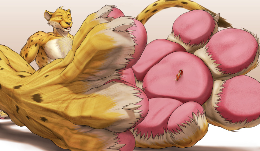 4_toes absurd_res anthro canid canine chee_(gery) cheetah duo eyes_closed feet felid feline female foot_fetish foot_focus fox hi_res male mammal micro mtfoxx nude pawpads paws size_difference soles toes tongue tongue_out