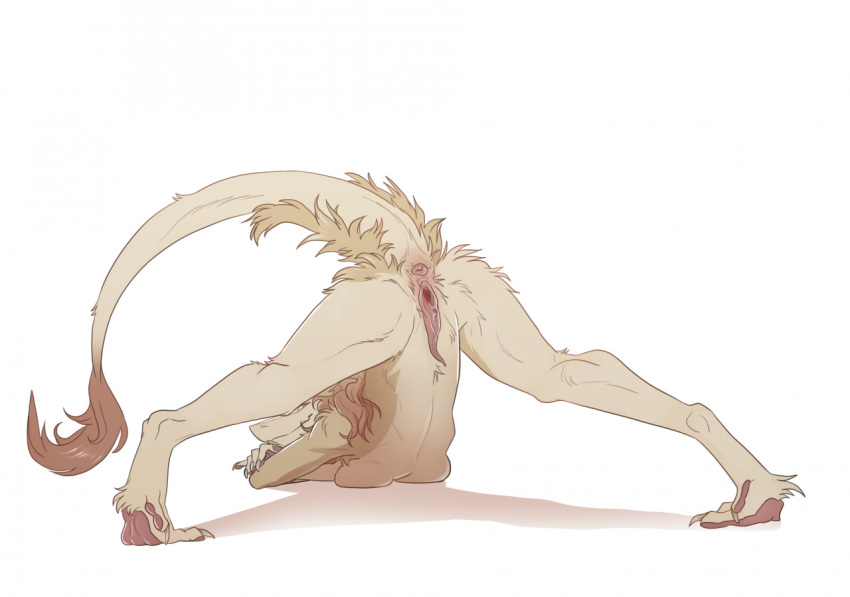 2021 anthro anus ass_up breasts butt clitoral_hood creepy_gun female fur genitals hair jack-o'_pose looking_back mammal nude pawpads pose prehensile_clitoral_hood presenting presenting_hindquarters presenting_pussy pussy raised_tail sergal solo spread_legs spreading