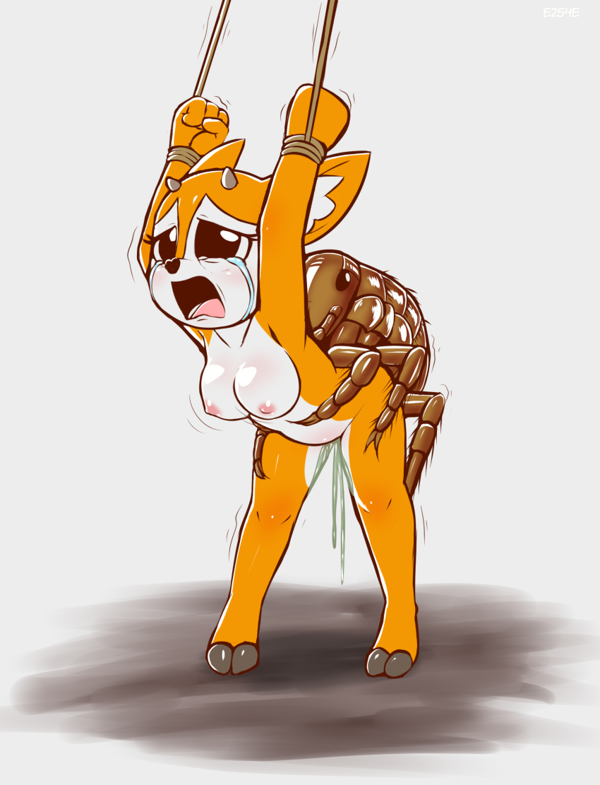 &lt;3 2_toes 4_fingers 6_legs aggressive_retsuko ambiguous_penetration antelope anthro anthro_on_feral arms_above_head arms_tied arthropod balls bestiality blush bodily_fluids bouncing_breasts bound bovid breasts brown_body crying cum cum_inside duo e254e feet female feral fingers fist flea forced from_behind_position fur furrowed_brow gazelle genital_fluids genitals hands_above_head heart_nose hi_res hooves horn insect male male/female male_dominating_female mammal natural_breasts nipples nude open_mouth orange_body orange_fur penetration rape ryona sad sanrio sex shaking simple_background simple_eyes tears teeth thomson's_gazelle toes tongue trembling true_antelope tsunoda unusual_bodily_fluids unusual_cum unusual_genital_fluids what white_body white_fur why