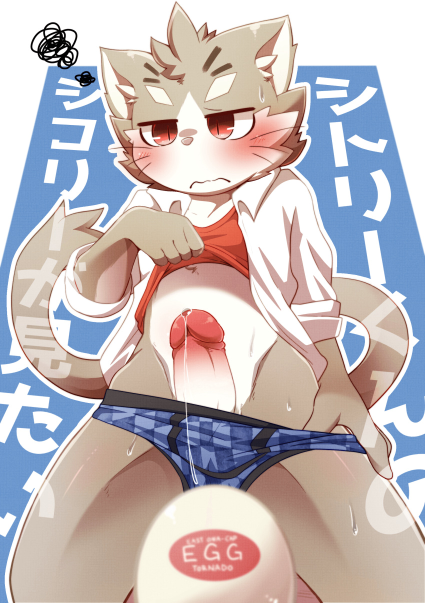 absurd_res anthro blush bodily_fluids boxer_briefs clothed clothing clothing_lift domestic_cat edit erection felid feline felis genital_fluids genitals hi_res humanoid_genitalia humanoid_penis kemono lifewonders male mammal navel penetrable_sex_toy penis precum sex_toy shirt shirt_lift sitri solo tokyo_afterschool_summoners topwear tsukane_yoda uncensored underwear video_games