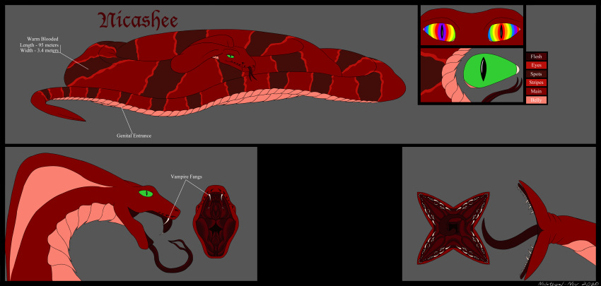 absurd_res anaconda boa_(snake) boinae cobra coiling fangs feral gynomorph herm hi_res hypnosis intersex mind_control model_sheet nalothisal_(artist) nicashee open_mouth reptile scales scalie snake solo tail_mouth titanoboa unusual_anatomy unusual_tail vampire vore
