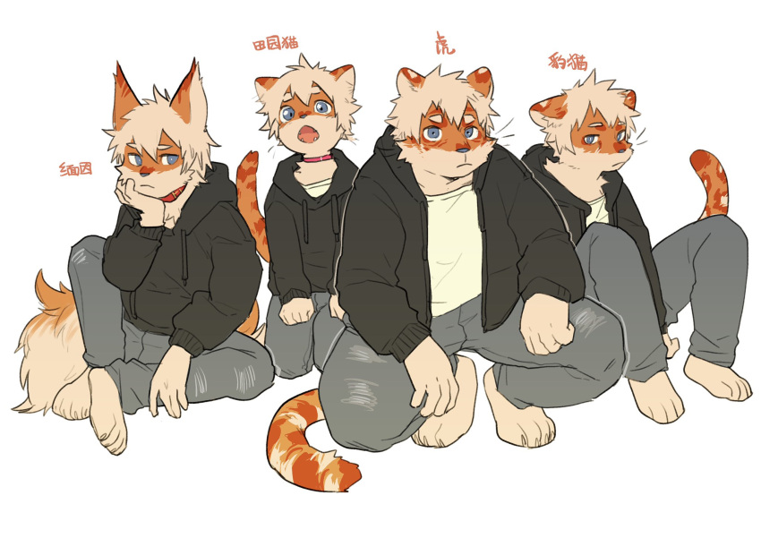 2021 alternate_species anthro black_clothing black_hoodie black_topwear bottomwear cheek_tuft chinese_text clothed clothing countershading domestic_cat facial_tuft felid feline felis fur grey_bottomwear grey_clothing grey_pants group hair hi_res hoodie hu_ku_li_(milkytiger1145) kemono leopard looking_at_viewer male mammal milkytiger1145 open_clothing open_hoodie open_mouth open_topwear orange_body orange_fur pantherine pants shirt simple_background tan_body tan_countershading tan_hair text tiger topwear translated tuft unknown_species white_background white_clothing white_shirt white_topwear