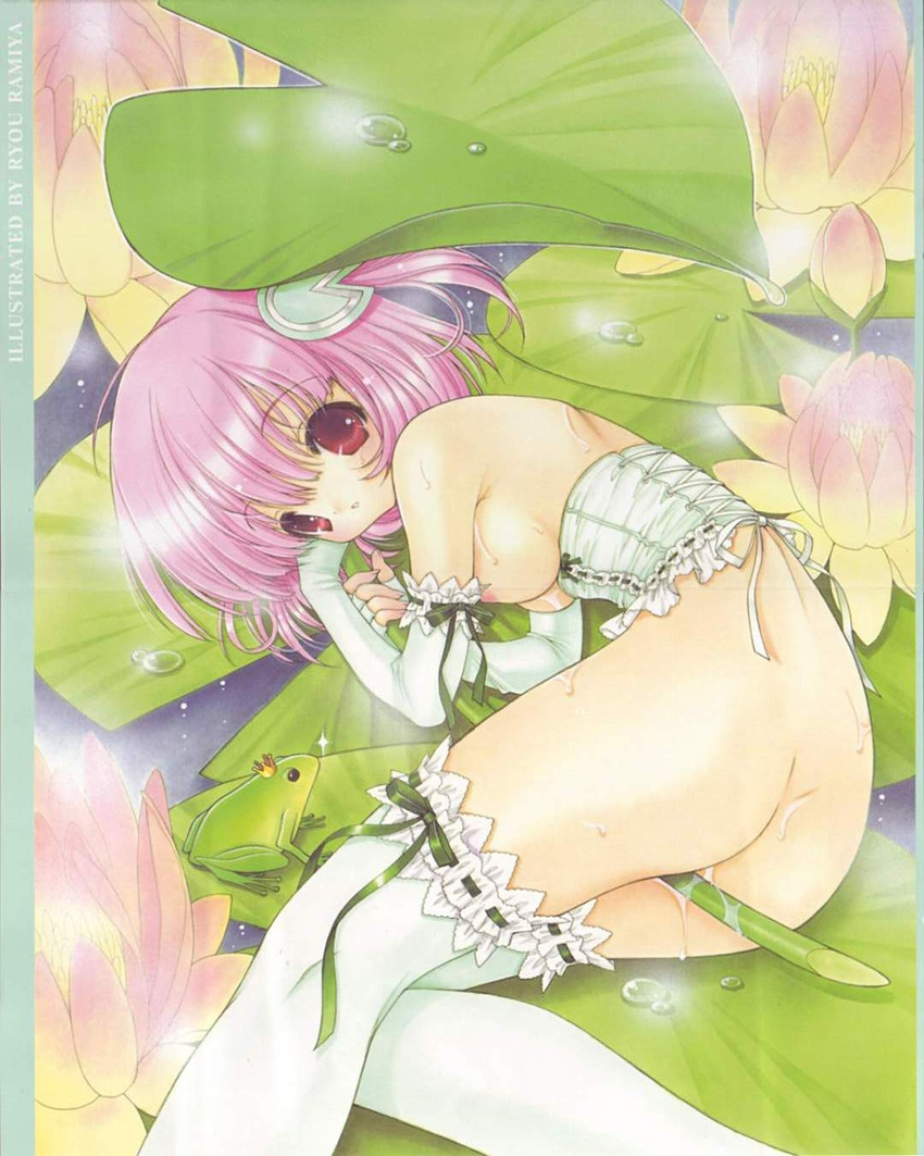 bottomless breasts corset crotch_rub crown dew_drop elbow_gloves fingerless_gloves flower frills frog frog_prince garters gloves hair_ornament highres leaf lily_(flower) lily_pad masturbation medium_breasts nipples non-web_source pink_hair purple_eyes pussy_juice ramiya_ryou red_eyes ribbon solo thighhighs water_drop white_legwear