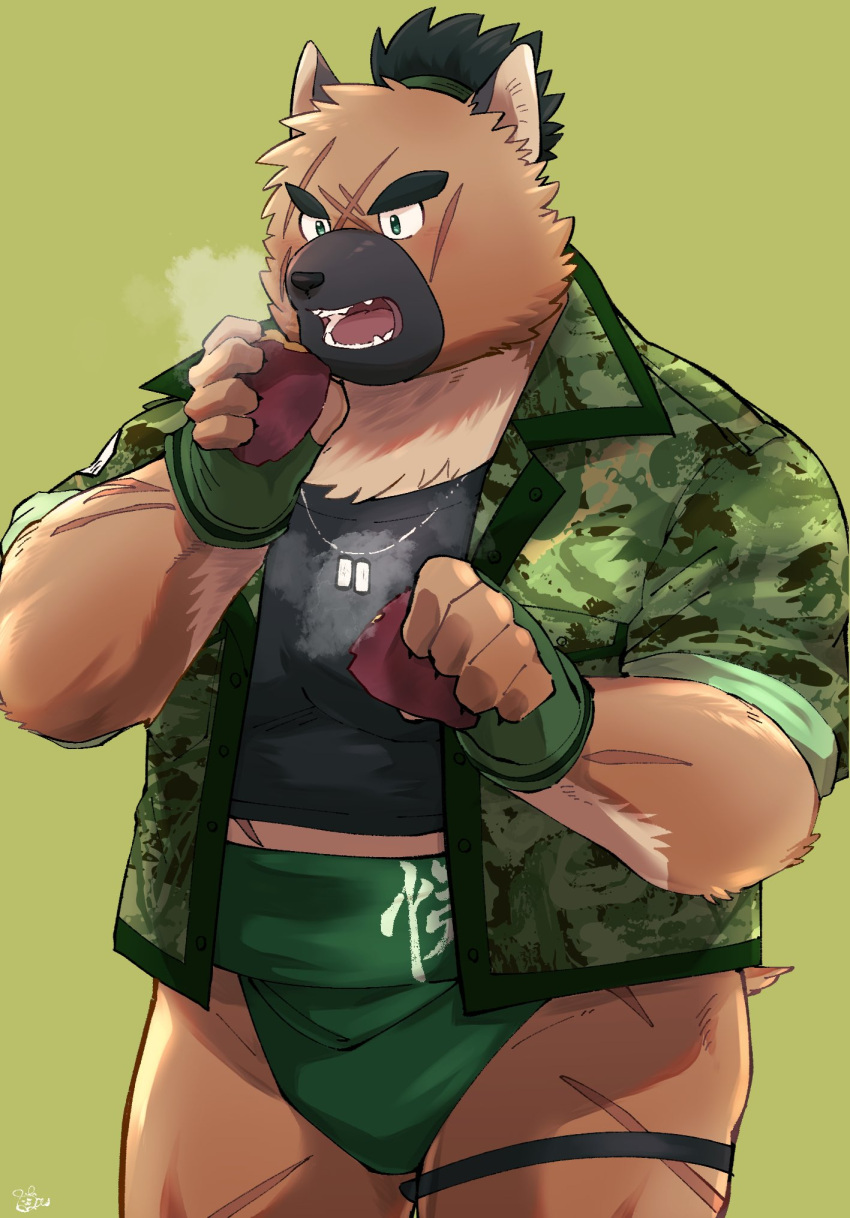 2021 anthro black_nose brown_body brown_fur canid canine canis domestic_dog fur green_background hi_res humanoid_hands kemono lifewonders male mammal overweight overweight_male sawch_cls scar simple_background solo tokyo_afterschool_summoners video_games yasuyori