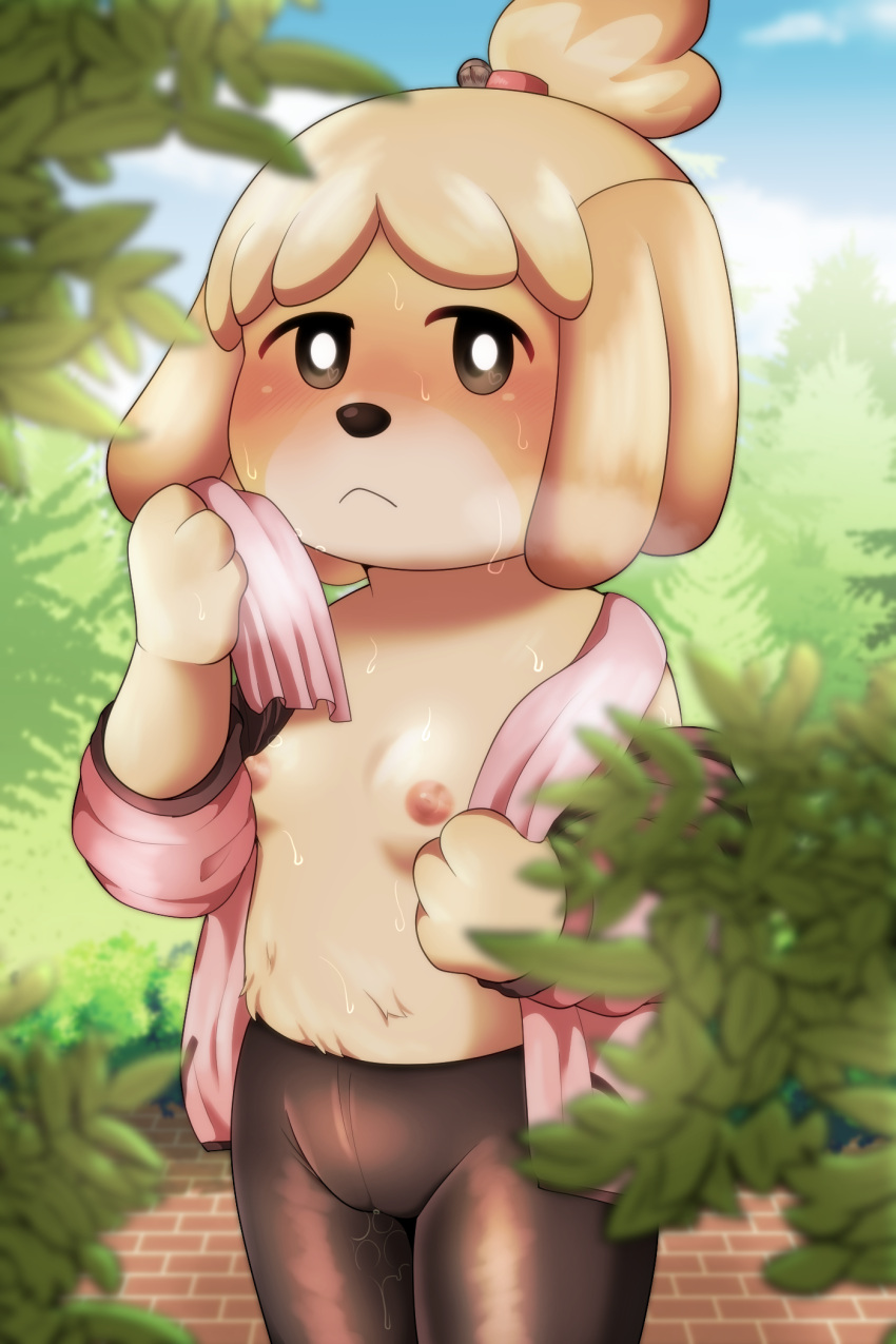 2:3 animal_crossing anthro blush bodily_fluids canid canine canis clothed clothing domestic_dog female flat_chested hi_res isabelle_(animal_crossing) legwear looking_at_viewer mammal nintendo open_clothing open_shirt open_topwear shirt solo sweat tahita tights topless topwear towel video_games