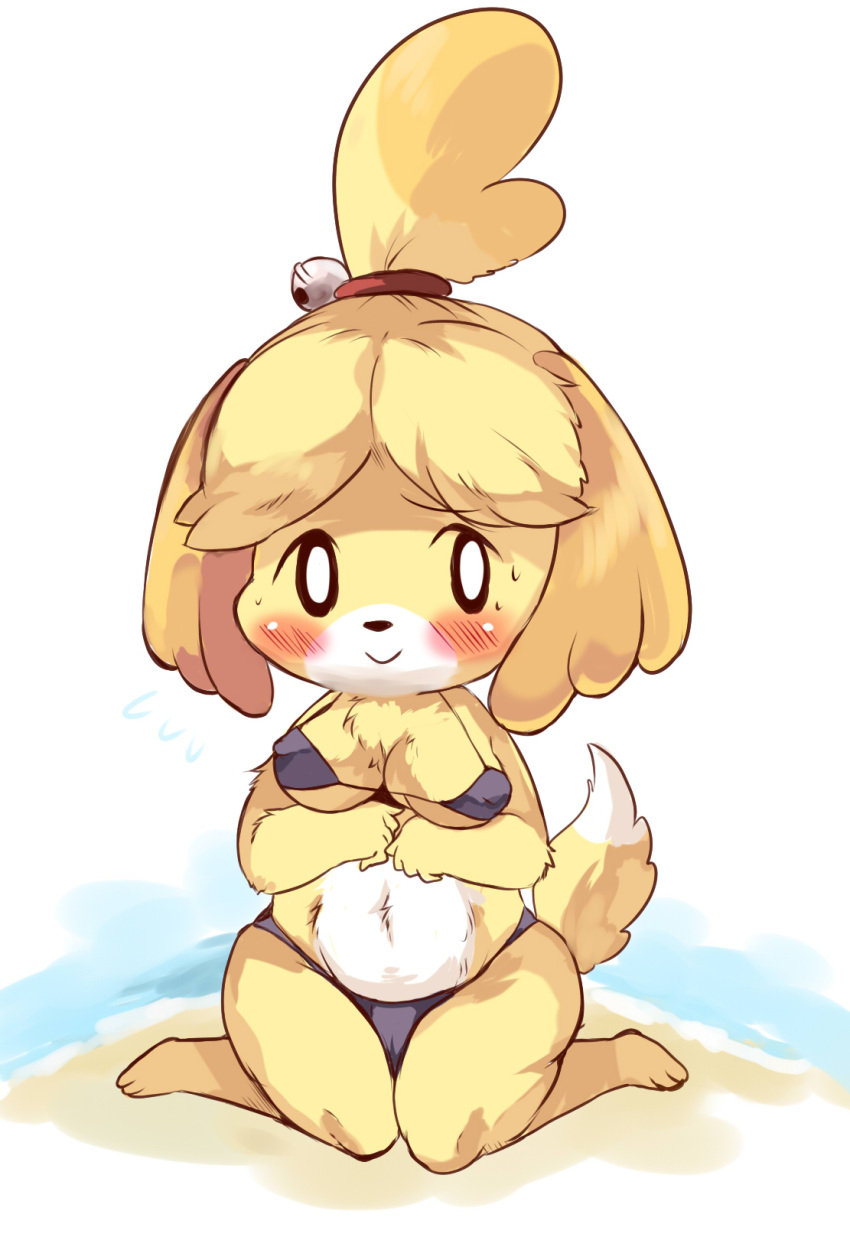 animal_crossing anthro arms_under_breasts beach big_breasts bikini blush breasts canid canine canis clothing domestic_dog female fushiana_ai hi_res isabelle_(animal_crossing) kneeling mammal nintendo nipple_outline seaside simple_background smile solo swimwear video_games