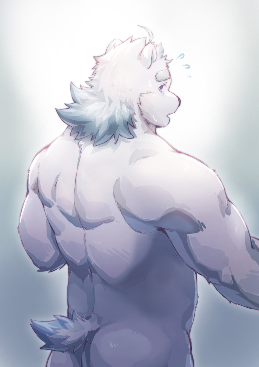 2021 anthro black_nose butt fur hi_res kemono knights_college male mammal paul_(knights_college) polar_bear solo ursid ursine video_games visual_novel white_body white_fur youhei79384157