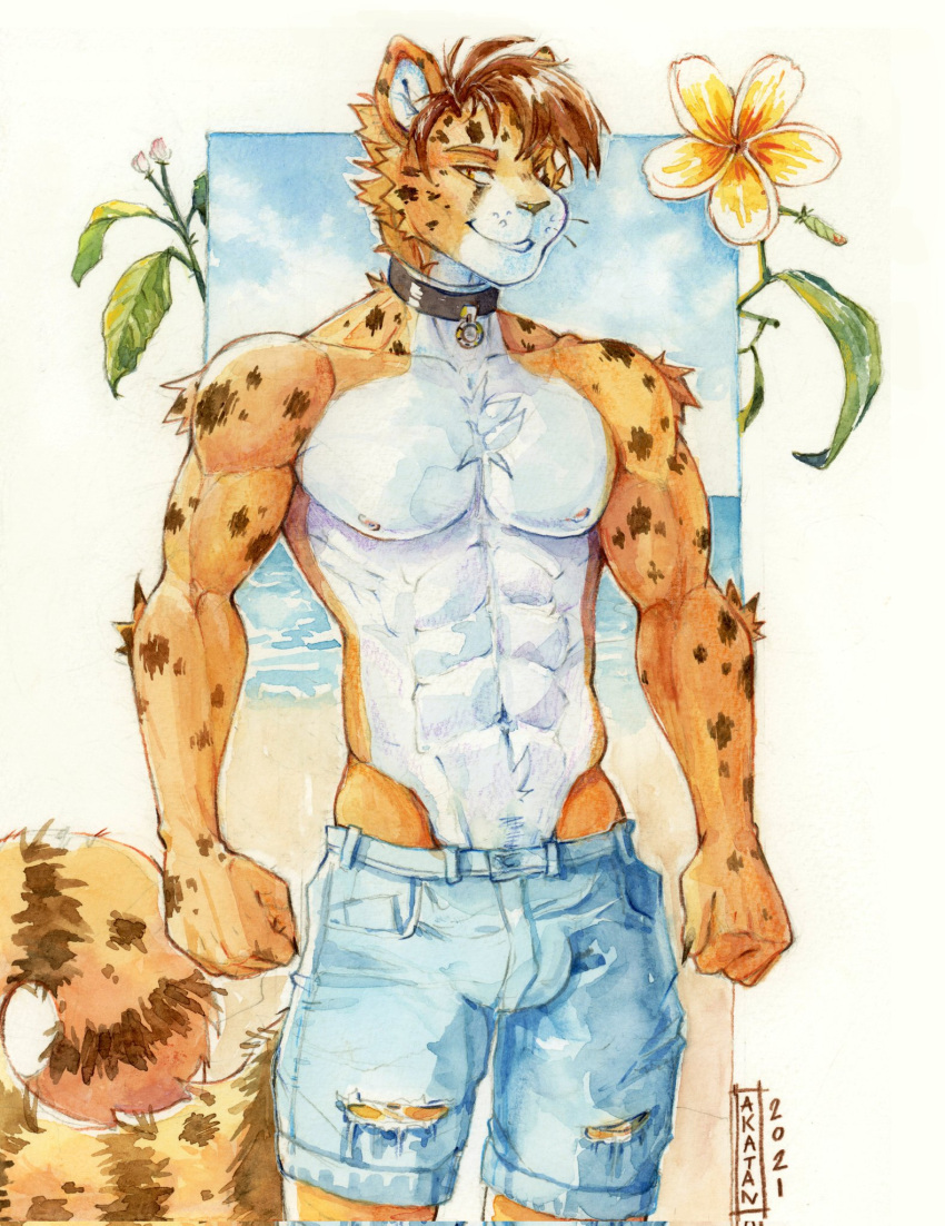 akatan_art anthro beach bottomwear bulge cheetah clothing felid feline hi_res male mammal seaside shorts solo summer